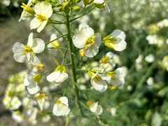 -中国天府农业博览园