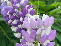 -西安电影制片厂