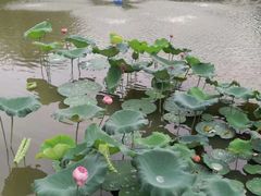 -厦门悦华酒店