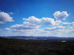 -灵谷景区