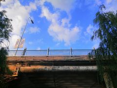 -长白岛森林公园