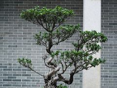 -黄埔古港