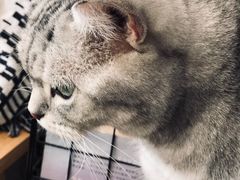 -平行世界·猫咖(首经贸店)