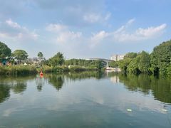 -新江湾城公园