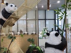-成都大熊猫繁育研究基地
