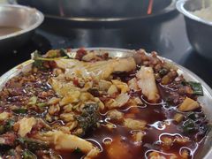 -老杨砂锅鱼庄
