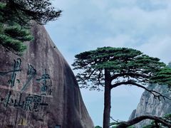 -黄山风景区