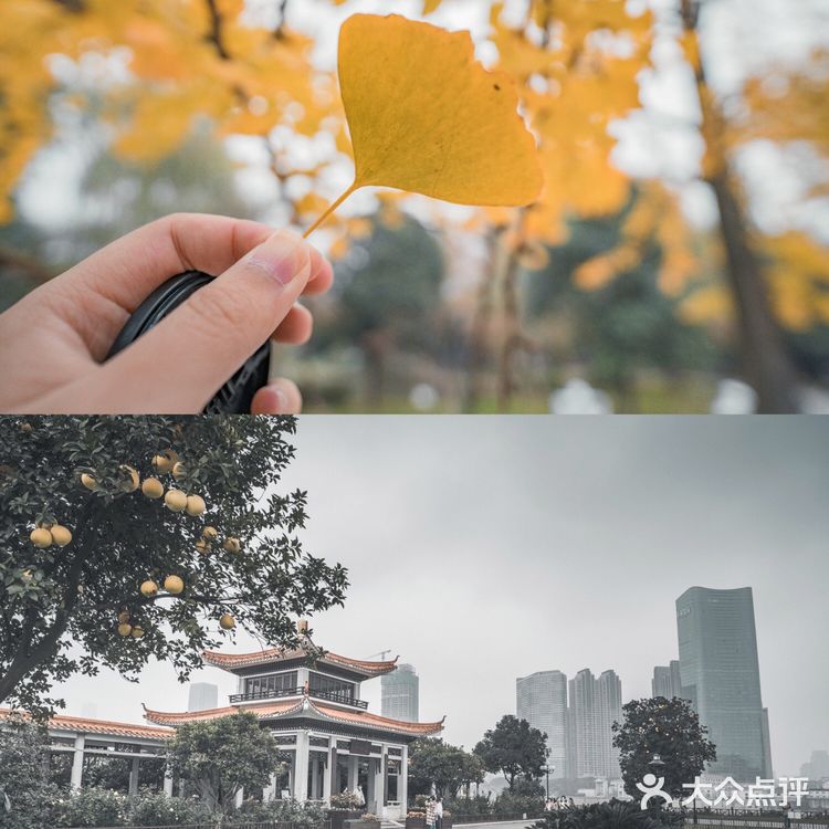 长沙必打卡景点｜橘子洲真的🈶橘子么⁉️