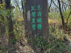 -高尔山公园