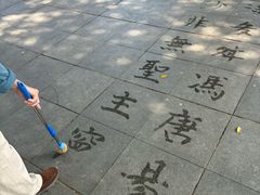 -荔湾湖公园
