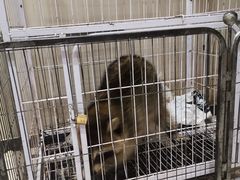 -平行世界·猫咖(首经贸店)