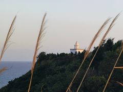 -东沙渔村