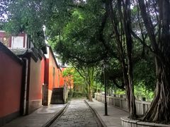 -乌山风景区
