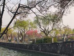 -无锡蠡湖国家湿地公园-蠡园
