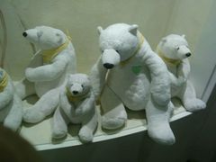 android_upload_pic-济州岛泰迪熊博物馆