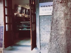 -两棵枇杷树