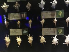 -大连圣亚海洋世界