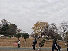 -盘龙城国家考古遗址公园