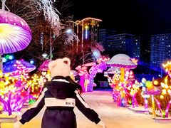 -沈阳奥体冰雪嘉年华