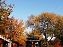 -永定河休闲森林公园