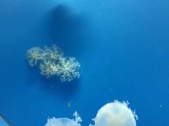 金鹰海洋世界-常州海昌海洋探索馆