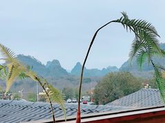-宴武夷·匠心闽味(印象大红袍店)