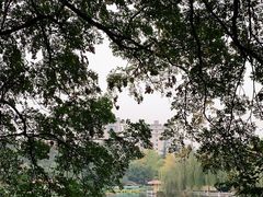 -绵阳人民公园(涪城区)