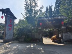 -青城甲(青城山店)