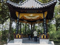 -梅园