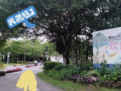 -福田红树林生态公园