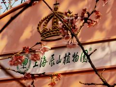 -上海辰山植物园