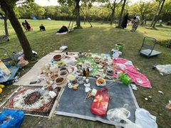 -上海吴淞炮台湾国家湿地公园