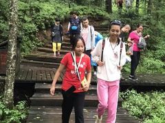 -五营红松林海景区