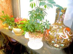 -龙图阁海鲜饭店