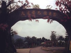 iphone_upload_pic-天适樱花悠乐园