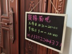 -鼓捣猫呢主题猫咖店