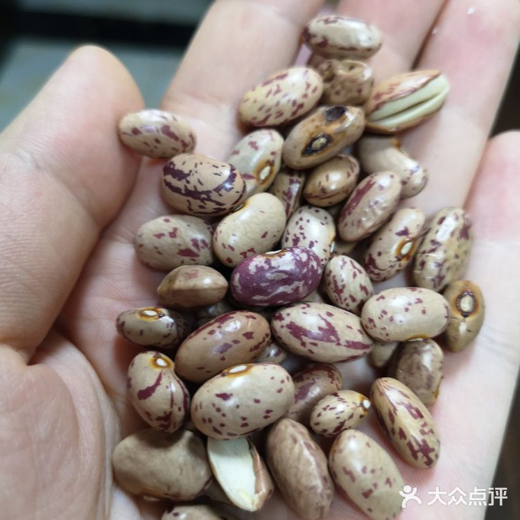 幸福的粘豆包