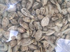 -胖子饺子馆·海鲜家常菜(海军博物馆店)