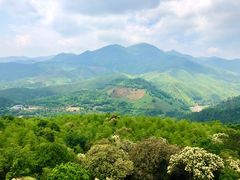 -大余丫山旅游度假区