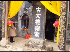 -大槐树寻根祭祖园