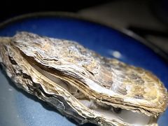 -蚝堡·生蚝海鲜烧烤物种起源•海肠捞饭(刘公岛店)