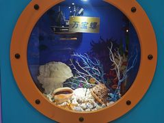 -多彩贵州城极地海洋世界