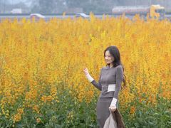 -三圣花乡旅游区