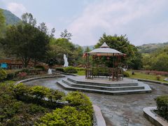 -天台国家森林公园水上茶乡九鹏溪