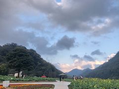 -广州市流溪河国家森林公园