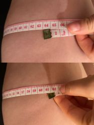 -Fundi张玉珊修身堂·indiba·BTL科技瘦身