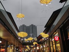 -孙毛肚火锅(春熙路店)
