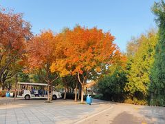 -石家庄市动物园