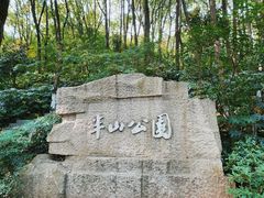 -杭州半山国家森林公园