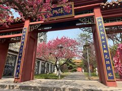-桃花堤公园